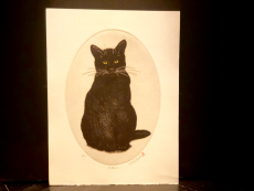 Hiroto Norikane "Black Cat-4"