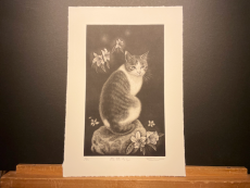 Sato Emi "Flower Illuminate"