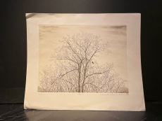 Hiroto Norikane "Autumn Sky"