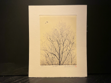 Hiroto Norikane "Spring Breathe-3"