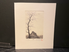 Hiroto Norikane "Tree 50th"