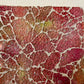 Yurie "Autumn leaves still green"