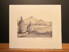 Hiroto Norikane "Oshino-Fuji Spring Comming"