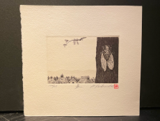 Hiroto Norikane "Summer"