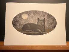 Hiroto Norikane "Whimsy"