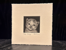 Sato Emi "Baby"