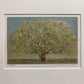 HOSHI JOICHI "Big Tree"