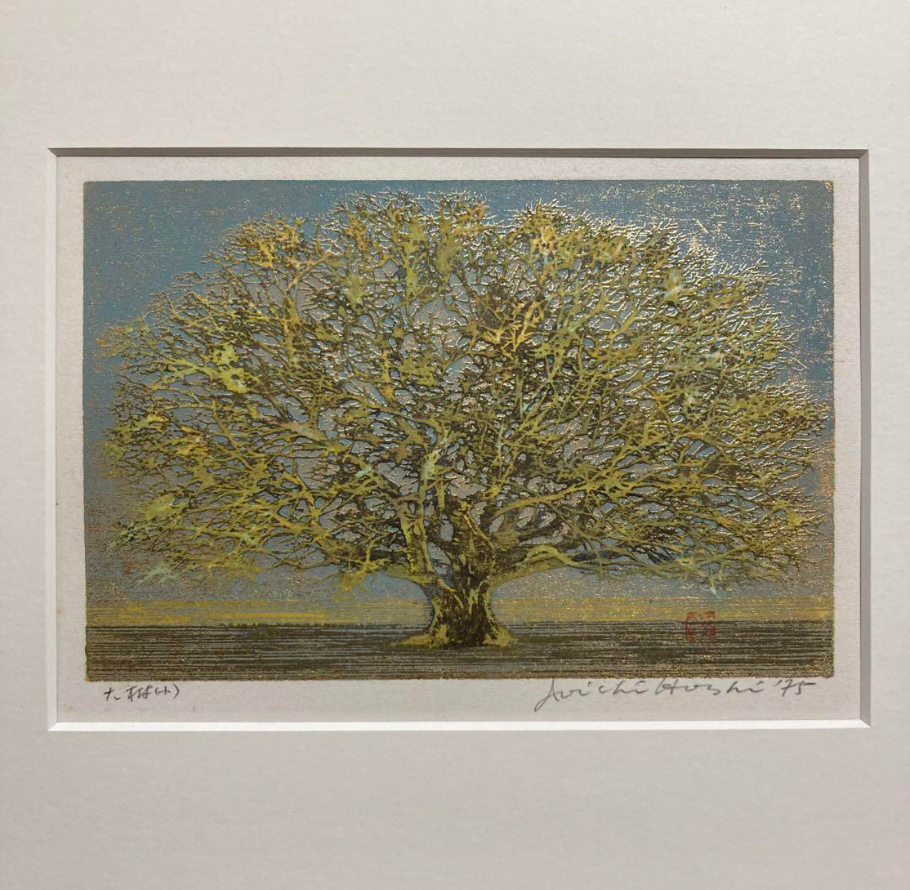 HOSHI JOICHI "Big Tree"