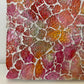 Yurie "beautiful shiny autumn leaves"
