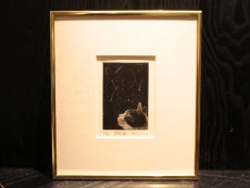 Sato Emi "Starlight Night"