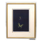 KAYAMA MATAZO "Spider and Butterfly"