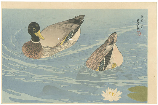 Hashiguchi Goyo "Ducks"