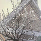 YOSHIDA TOSHI "White Plum Blossoms"