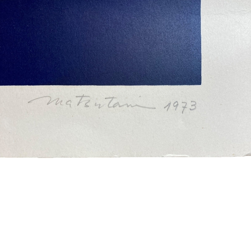 MATSUTANI TAKESADA “ PROPAGATION-80”