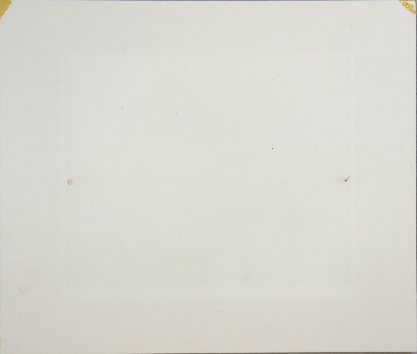 TANAKA RYOHEI “Small Tchatched Roof”