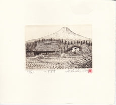Hiroto Norikane "Silver Grass"