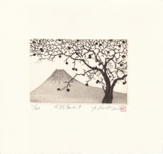 Hiroto Norikane "Oshino-Fuji 7"
