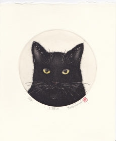 Hiroto Norikane "Black Cat - 10"