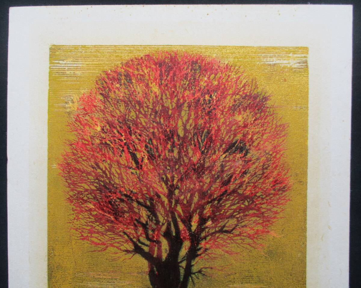 HOSHI JOICHI "Evening wood(Red)"