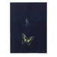 KAYAMA MATAZO "Spider and Butterfly"