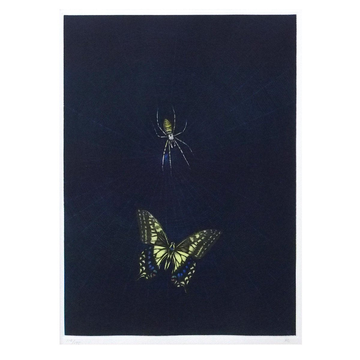 KAYAMA MATAZO "Spider and Butterfly"