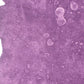 SUGAI KUMI "MASSE VIOLETE"
