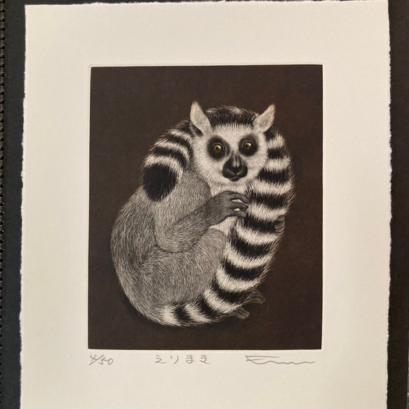 SATO EMI "Erimaki"