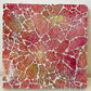 Yurie "Autumn leaves still green"