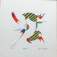 KUSAKA KENJI “work 25”