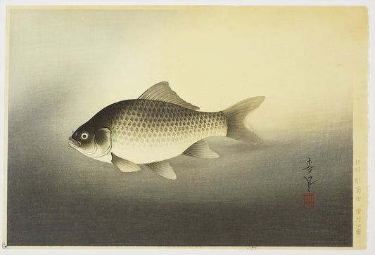 ONO BAKUFU "crucian carp"