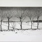 Tanaka Ryohei "Trees in the rice field (winter)"