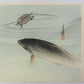 Ogata Gekko "Carp and Turtle"