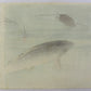Ogata Gekko "Carp and Turtle"