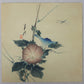 Gekko "Morning glory and Dragonfly"
