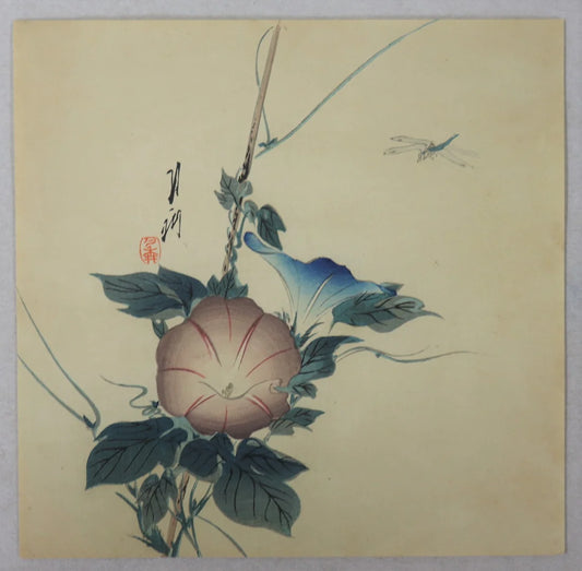 Gekko "Morning glory and Dragonfly"