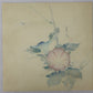 Gekko "Morning glory and Dragonfly"