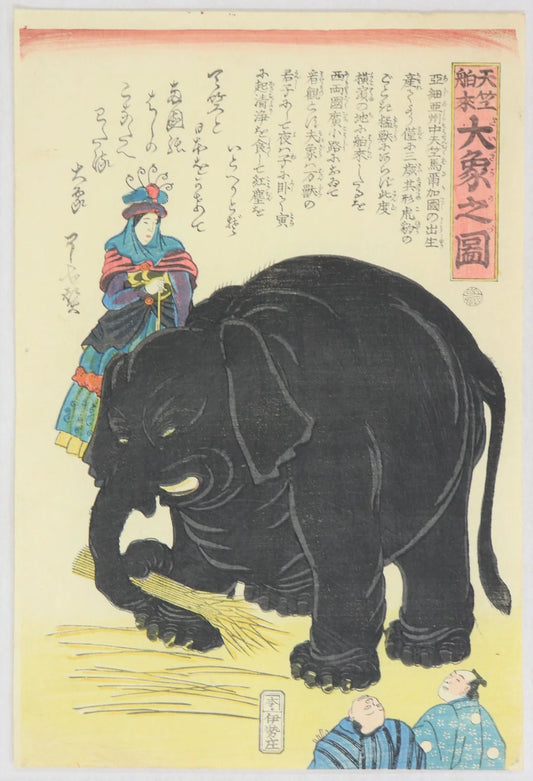Ryoko "Large Elephant"
