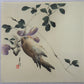 Gekko "Sparrow feeding"