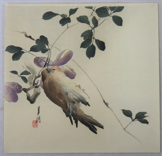 Gekko "Sparrow feeding"