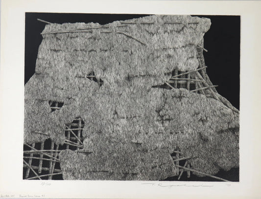 TANAKA RYOHEI "Ruined Farm House #5"