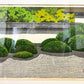 IDO MASAO "Shodenji Temple"