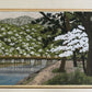 Ido Masao "Spring Arashiyama"