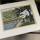 Ido Masao "Spring Arashiyama"