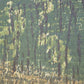 Hagiwara Hideo "Thirty-six Fuji, the day the trees die"
