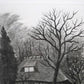 Kimura Shigeru "House with a budding roof"