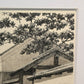 TANAKA RYOHEI "Road under the shade of a tree"