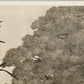 TANAKA RYOHEI "Old house under the trees"