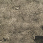 TANAKA RYOHEI "Old house under the trees"