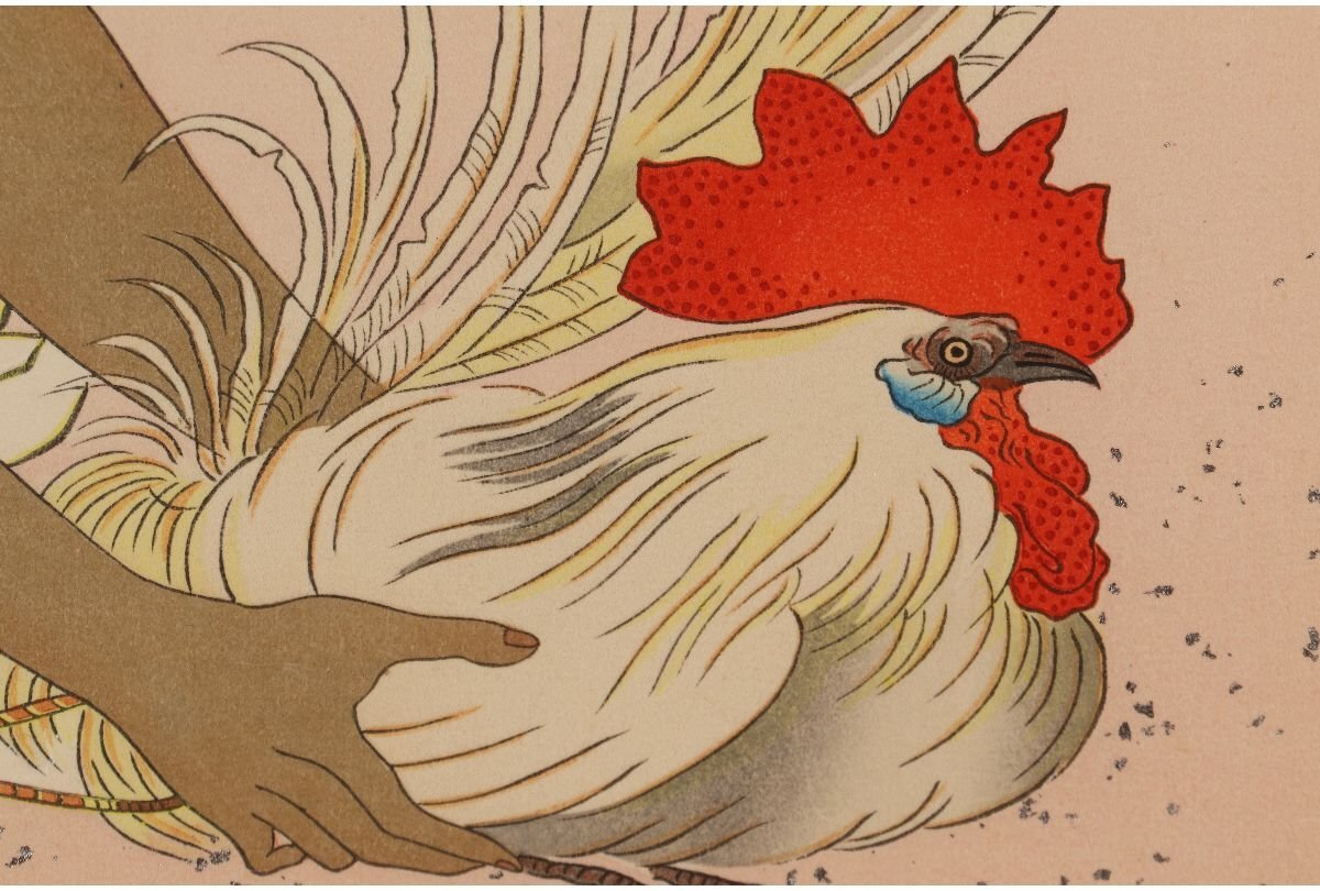 Paul Jaclay "Cockfighting (Korea)"