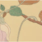 Paul Jaclay "Yap flower (Yap Island)"